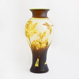 Glass Vase Orchid